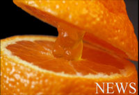 News and Announcements